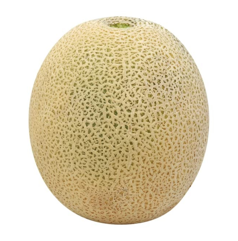 Cantaloupe