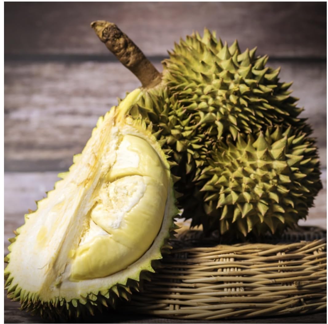 Durian, Fresh Tropical King of Fruits.1 pack from Asian .This is fresh fruit. It is kept in cold storage before shipping, but as a perishable item it cannot be returned once delivered. Thank you for u